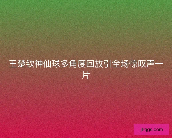 王楚钦神仙球多角度回放引全场惊叹声一片 王楚钦神仙球多角度回放引全场惊叹声一片